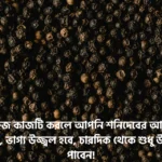 এই সহজ কাজটি করলে আপনি শনিদেবের আশীর্বাদ পাবেন, ভাগ্য উজ্জ্বল হবে, চারদিক থেকে শুধু উপকার পাবেন!
