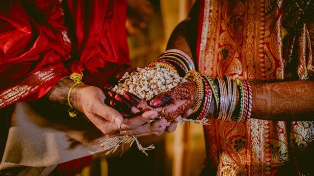 জৌতিষ এর কথা বলুন বিনামূল্যে 4 এই গাছটি আপনার বিবাহিত জীবনে মধুরতা যোগ করবে, বাড়িতে এটি লাগালে আপনি চিরকাল সুখী থাকবেন